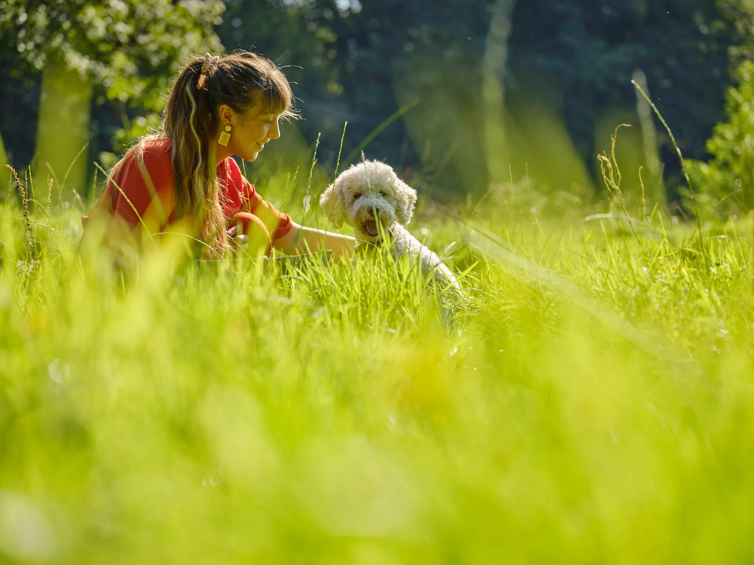 Luxury treehouses with hot tubs in Devon Dog Friendly